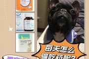 宠物狗狗口服药的正确方法（从药品选择到喂食技巧全面详解）