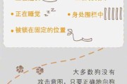 遇到狗狗咬人不用怕，打它们这几个地方可“自救”（自救方法防止狗狗咬伤，让你保持安全）
