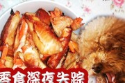 狗狗的零食时间（为你的爱犬选定最合适的零食时间）