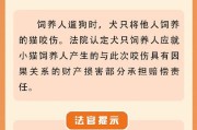 养猎犬需要注意的关键要点（狩猎犬的饲养和训练要点）