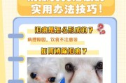 消除卷毛寻回犬的泪痕（用正确的方法解决犬主的烦恼）