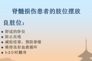 狗狗脊髓挫伤的症状和治疗（了解脊髓挫伤，及时治疗，挽救宠物生命）