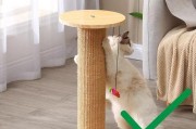 猫咪为什么喜欢挠沙发？（解析猫咪挠沙发的原因及如何解决）