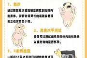 探究狗狗产仔的第二个间隔期长短之谜（揭秘狗狗生育间隔时间的秘密与影响因素）