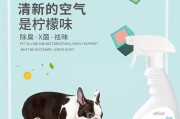 彻底消除沙皮犬异味的方法（让你的宠物清新如初）