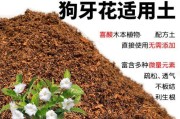 狗狗为什么会吃泥土和沙子（探究狗狗吃泥土和沙子的原因与危害）