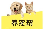 寄养宠物狗需要注意什么？（15个小贴士，让您的爱犬在寄养中感受到家的温暖）