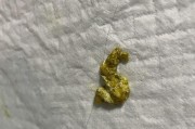 刚满月小狗驱虫指南（驱虫方法、注意事项及建议）