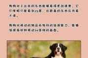 狗舌头变黄的原因及处理方法（了解狗舌头变黄的原因，保持宠物口腔健康）