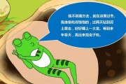 小动物过冬奇招（探秘宠物的过冬方法）