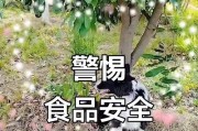 狗能否吃西瓜？（狗吃西瓜的禁忌和注意事项）