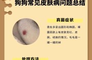 狗狗身上出现硬块的原因及治疗方法（揭秘狗狗身上出现硬块的成因及对策）