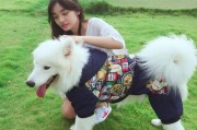 萨摩耶宠物犬的训练方法（建立亲密关系、掌握基本技能、防止不良行为）