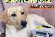 宠物养护