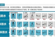 包兰格海角陆龟的饲养方法（如何让你的包兰格海角陆龟健康成长？）