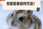 仓鼠饮食禁忌——哪些食物不能给仓鼠吃？（了解仓鼠的饮食禁忌，让它们健康成长）