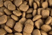 喂养胖狗的最佳选择——哪种狗粮最适合胖狗？（解决胖狗的饮食困扰，让狗狗健康成长）