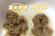 猫消化问题（深入了解猫消化问题，保护你的爱宠健康）