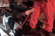 狗狗埋在土里多久会腐烂？（探寻狗狗腐烂的时间节点及影响因素）