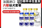 全面了解狗三针疫苗的重要性（为您的宠物提供全方位的保护）