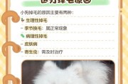 狗狗掉毛多久能长出来？（探秘狗狗毛发生长周期）