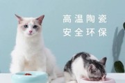 如何选择适合猫猫的宠物餐具（从材质到设计，全面了解宠物餐具的选择要点）