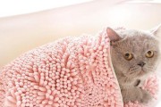 怎样帮宠物猫咪洗澡（注意事项与步骤详解）