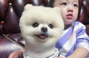 如何让狗狗和孩子和谐相处？（建立宠物与孩子的良好关系）