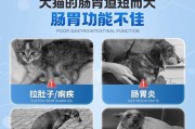 兔子拉肚子（了解兔子拉肚子的不同形式和有效的治疗方法，保护你的兔子健康）