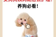 狗为什么会来大姨妈？（探究狗类生理周期的奥秘）