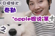揭秘狗狗换毛周期（了解狗狗毛发生长和脱落的奥秘）