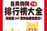 如何训练你的宠物丝毛梗正确的跳跃（教你用科学方法让丝毛梗飞跃高峰）