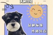 让你的爱宠健康快乐成长（让你的爱宠健康快乐成长）