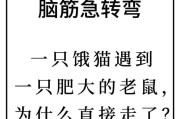 老鼠与猫的故事（揭开老鼠和猫之间复杂关系的奇妙之旅）