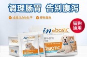 小狗狗拉肚怎么办？饮食调理救急！（多给予白米饭，少喂油腻食物，专业治疗方案，保持水分摄入。）