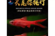 红色的灯鱼——神秘而美丽的海洋生物（探秘红色的灯鱼的生态习性和养殖技术）