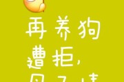 狗狗惨叫声的背后（揭秘狗狗的语言沟通方式）