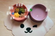 比熊怀孕期间的饮食要求（比熊怀孕期间应注意的肉食摄入问题）