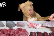 斗牛犬的蔬菜饮食指南（营养健康、多样选择，打造健壮斗牛犬）