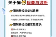 探究猫咪癫痫发作频率的规律（揭秘猫咪癫痫的周期性及其关键因素）