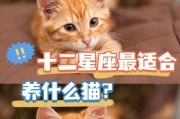 十二星座女生适合养的猫咪类型（探究不同星座女生与猫咪的契合度，解析最佳养猫选择）