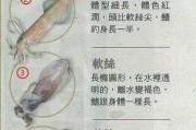 哥威斯犬饲养指南（了解哥威斯犬特点，让你成为出色的主人）
