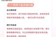 冠毛犬洗澡指南（了解冠毛犬洗澡的频率及注意事项）