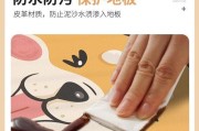 选择适合猫咪的地毯，给它们一个舒适的家（如何挑选适合猫咪使用的地毯，）