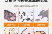 小狗拉屎有虫子的原因和驱虫方法（为什么小狗拉屎会有虫子？如何有效驱虫？）