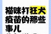 猫咪打疫苗的最晚时间（保护你的猫咪免受疾病侵袭的关键）