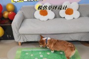 为什么狗狗要憋尿？（探索狗狗憋尿的原因及对健康的影响）