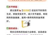 狗狗骨折后饮食的影响及应对方法（了解狗狗骨折后的饮食需求，助其快速康复）