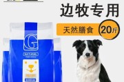 边境牧羊犬养护指南（科学喂养策略，保持健康成长）