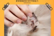 宠物耳螨处理指南（如何识别和有效治疗宠物耳螨？）